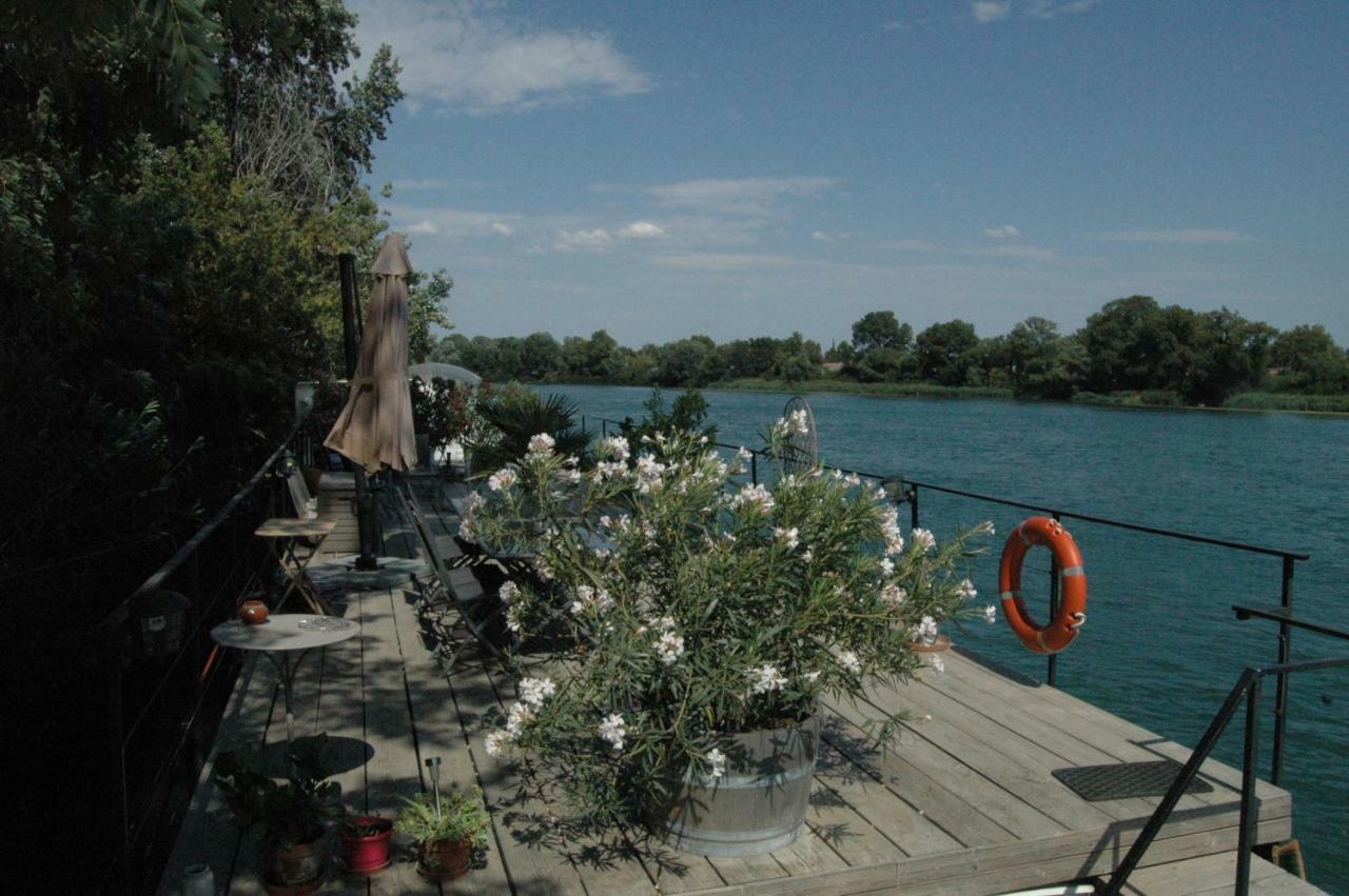 Peniche Espoir Bulle Bed & Breakfast Avignon Luaran gambar